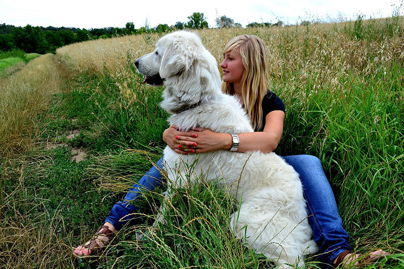 L'échange de garde d'animaux