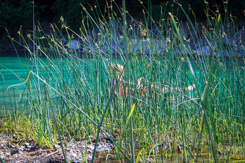 Lac de Chalain