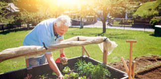Le potager surélevé pour éviter les problèmes de dos