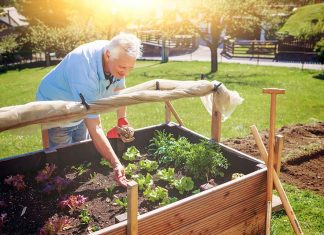 Le potager surélevé pour éviter les problèmes de dos