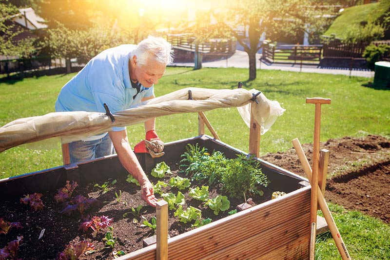 Le potager surélevé pour éviter les problèmes de dos