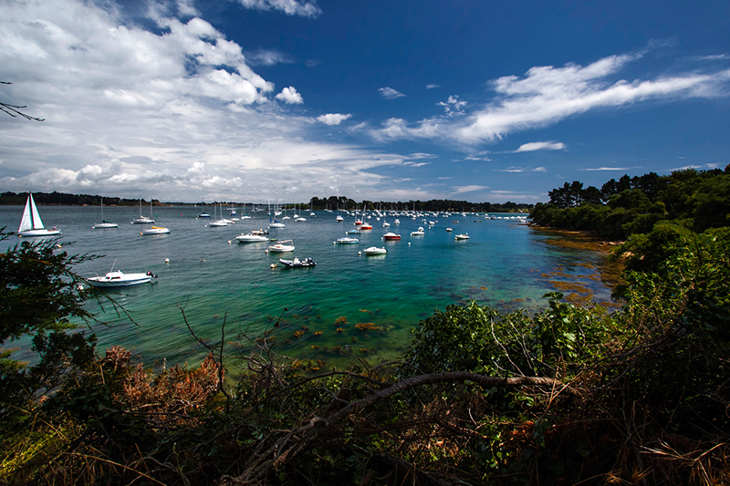 Golfe du Morbihan