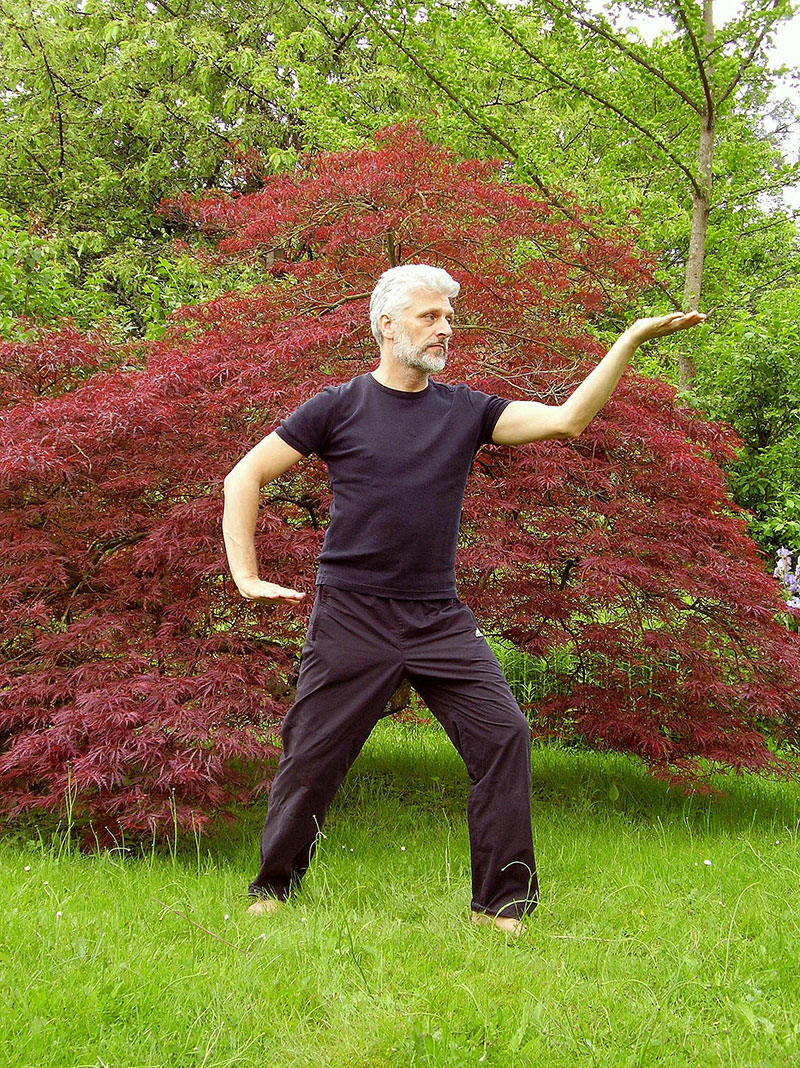 Techniques et bienfaits du Tai Chi pour les seniors