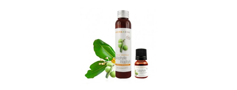 Aromazone Huile végétale de Calophylle B