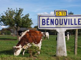 Découvrir la Normandie