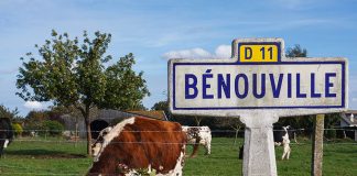 Découvrir la Normandie