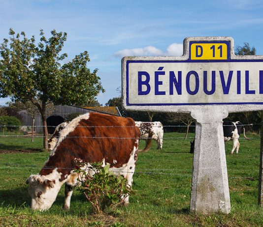 Découvrir la Normandie