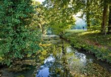 La pêche à la mouche au domaine de Sommedieue