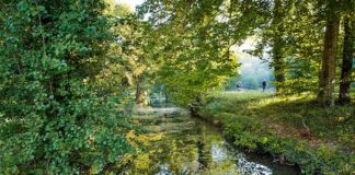 La pêche à la mouche au domaine de Sommedieue
