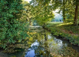 La pêche à la mouche au domaine de Sommedieue