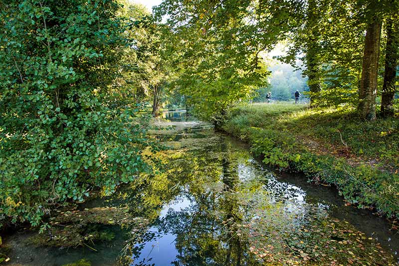 La pêche à la mouche au domaine de Sommedieue